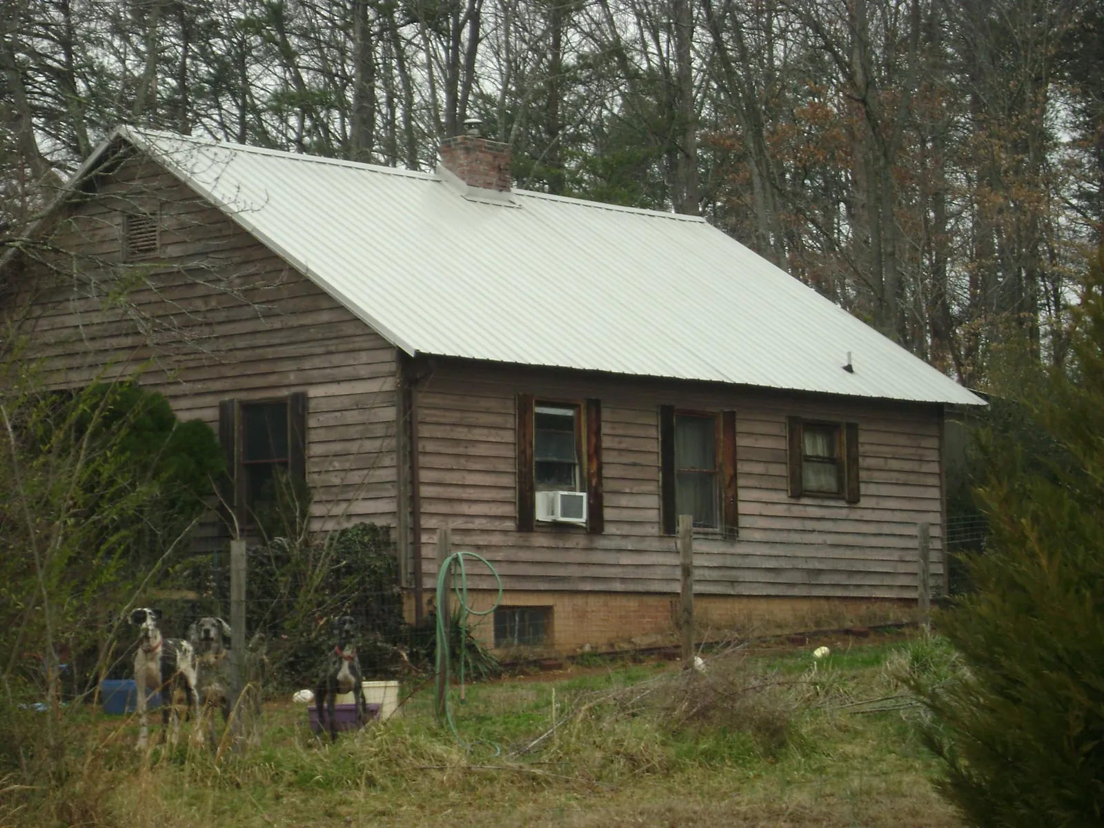 White metal roof on an old wood sided farmhouse, from a Asphalt Shingle Roof Repair job in Crumpler